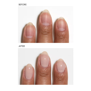 TRANSFIX Restore & Repair Base Coat